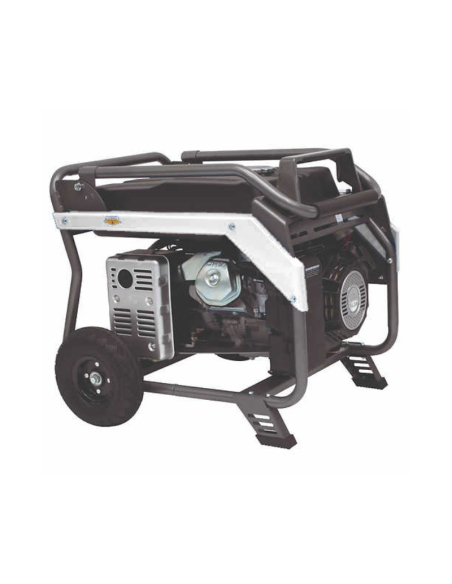 Generatore 9KVA StageV AVR