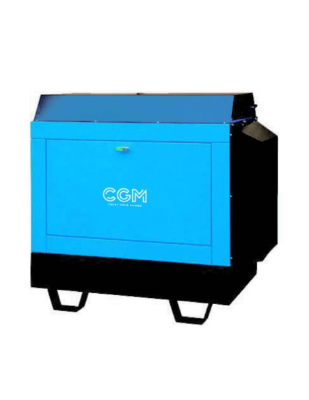 CGM DS22000T Generator 20KVA StageV
