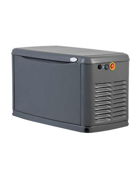 Generatore 13 KVA Gas Naturale.