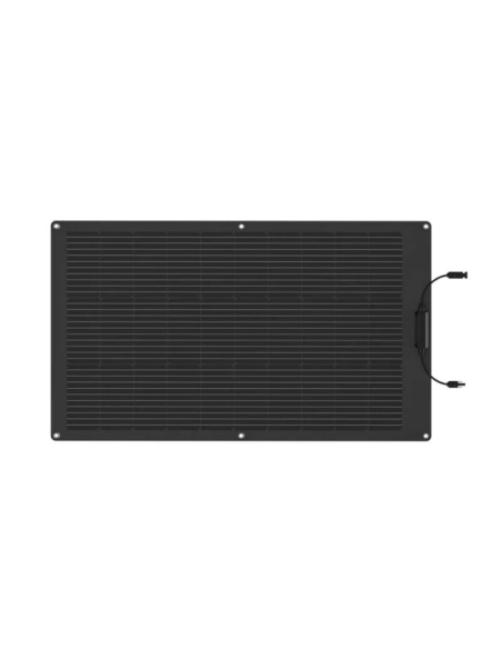 Pannello Solare EcoFlow 100W