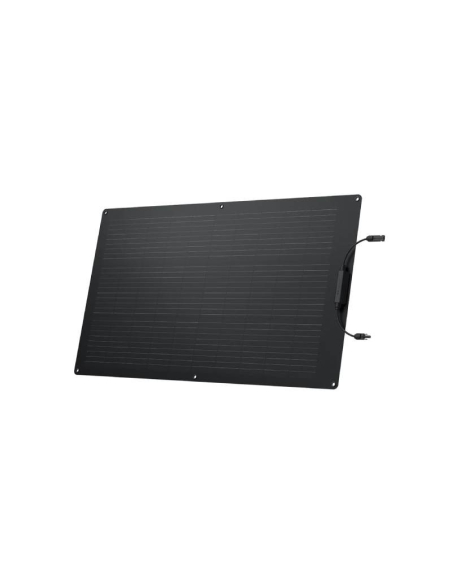 Pannello Solare EcoFlow 100W