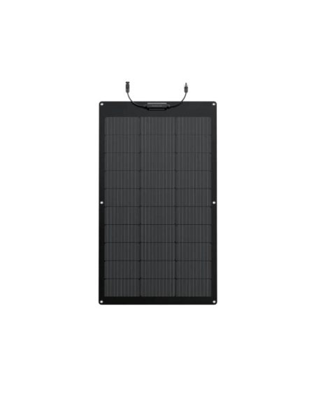 Pannello Solare EcoFlow 100W