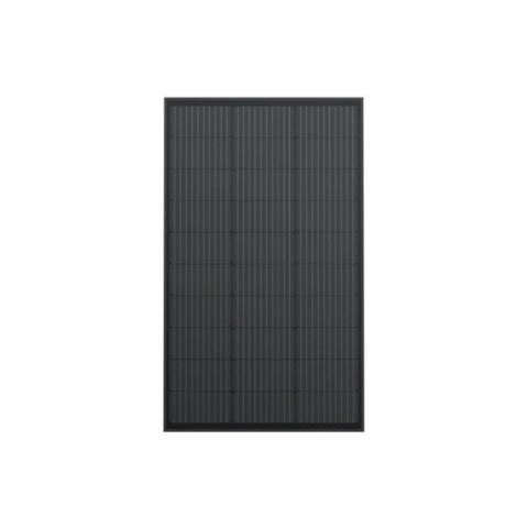 Pannello Solare EcoFlow 2x100W