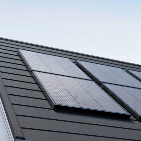Solar Panel EcoFlow 2x100W