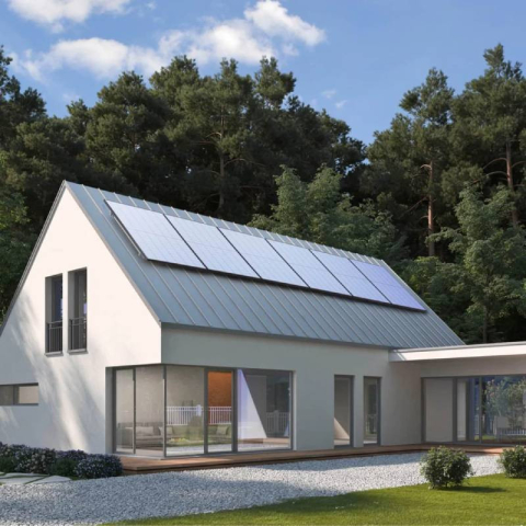Pannello Solare EcoFlow 2x400W