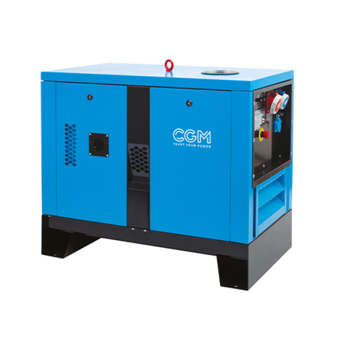 Generatore 12 KVA CGM DS11000T