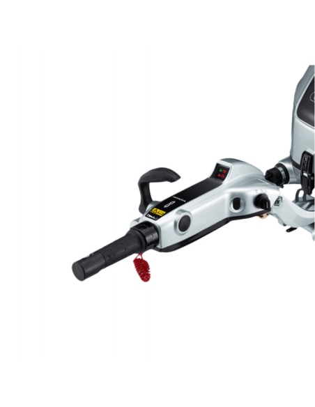 Honda fuoribordo BF30DK2 SHGU