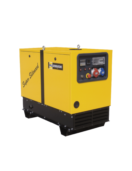 WFM SSP15000TSS Generator 13KVA