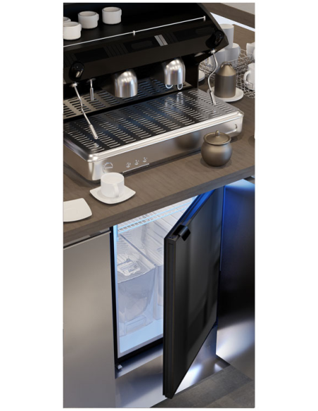 VITRIFRIGO Frigofreezer porta pannabile C60P