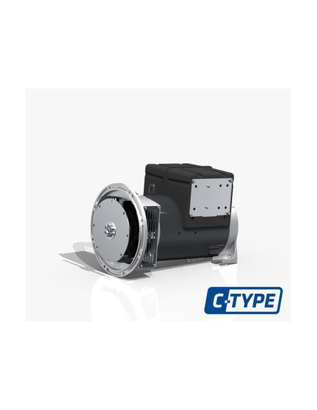 MECC ALTE ECP3-2S/4 THREE-PHASE ALTERNATOR AVR