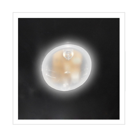 VITRIFRIGO - Luce LED (standard)