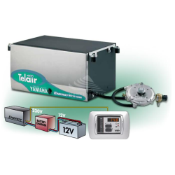 TELAIR ENERGY 8012G generator | Manel Service