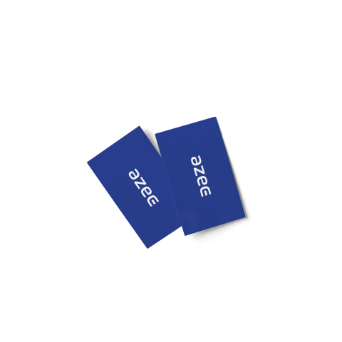 10 RFID cards