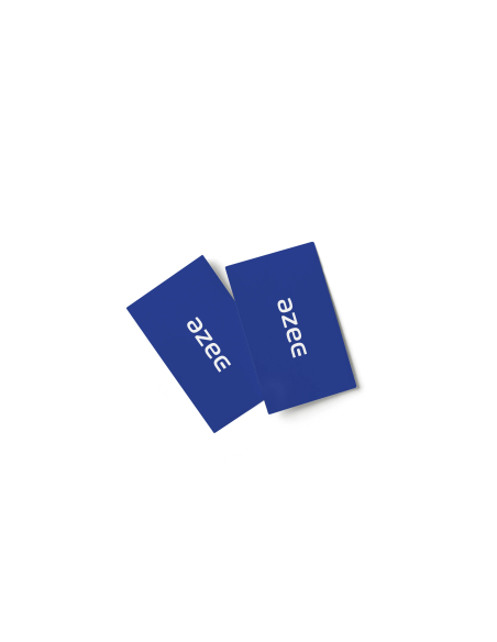 10 RFID cards