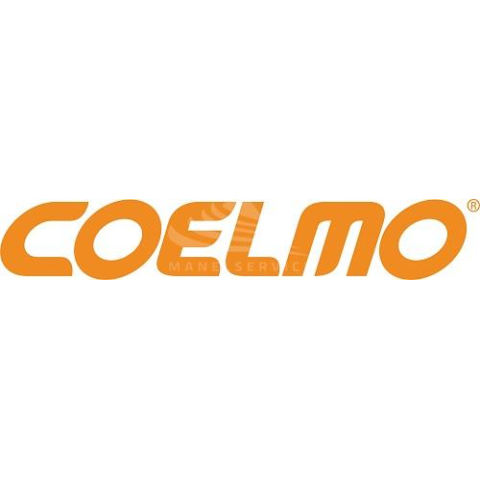 COELMO PISTONE COMPLETO PER DM350 | Manel Service