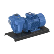 Electric pumps