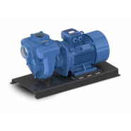 ELECTRIC PUMPS